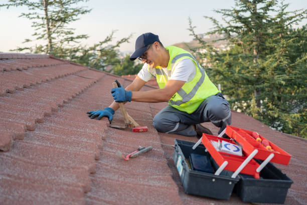 Best Storm Damage Roof Repair  in London, OH